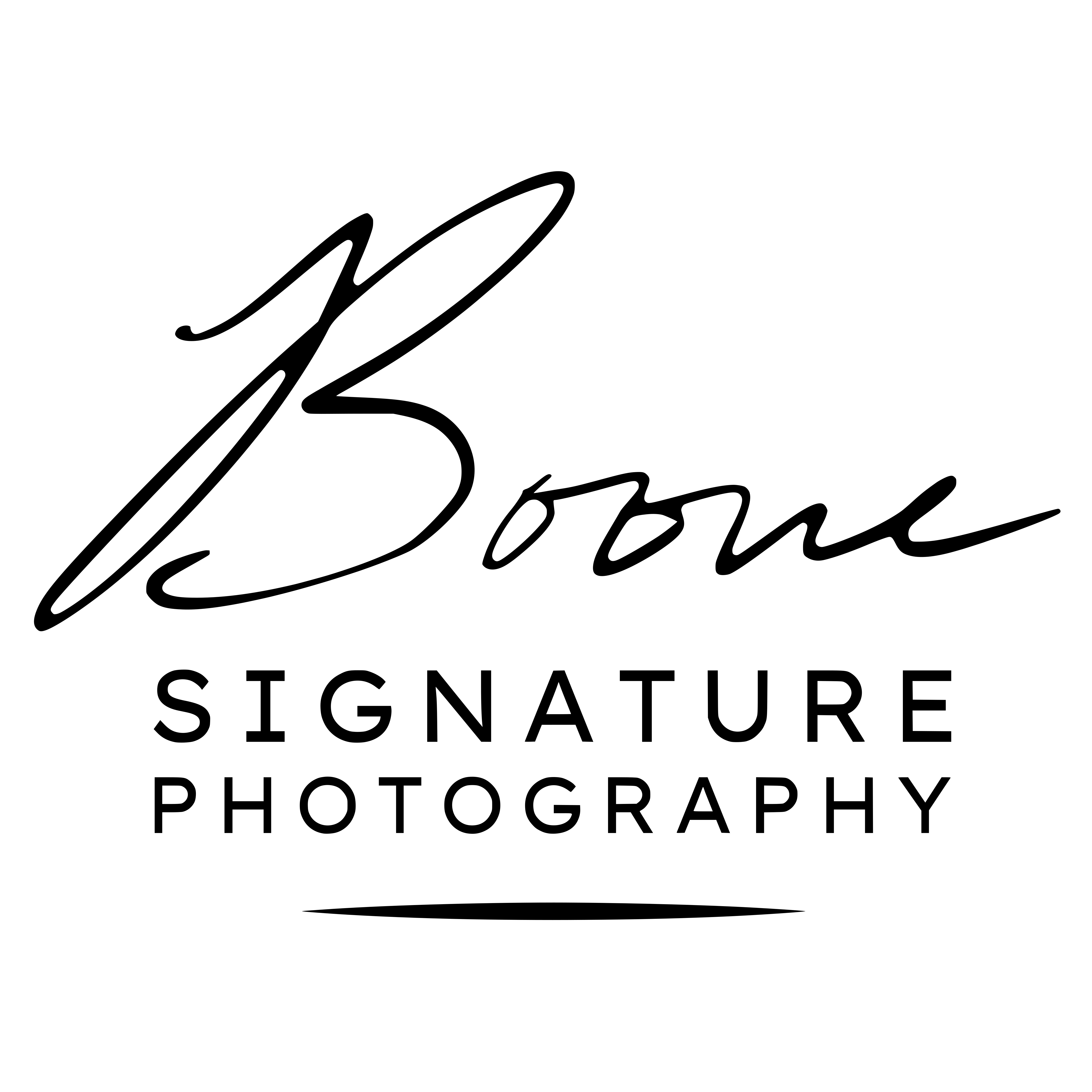 Boone Signature Photography logo
